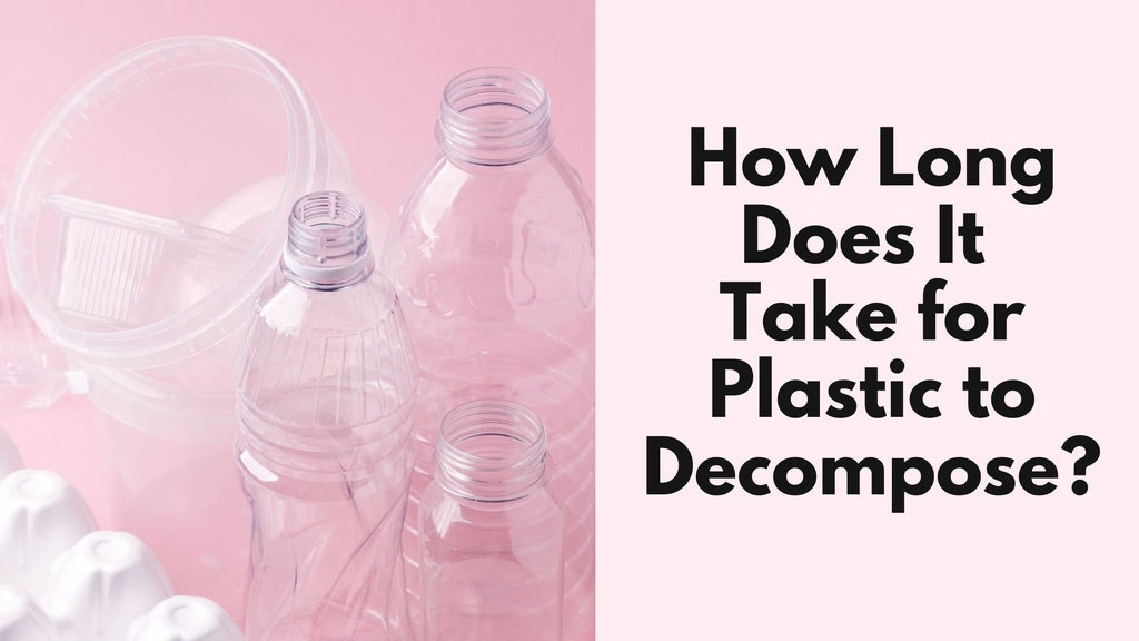 How Long Does It Take for Plastic to Decompose?