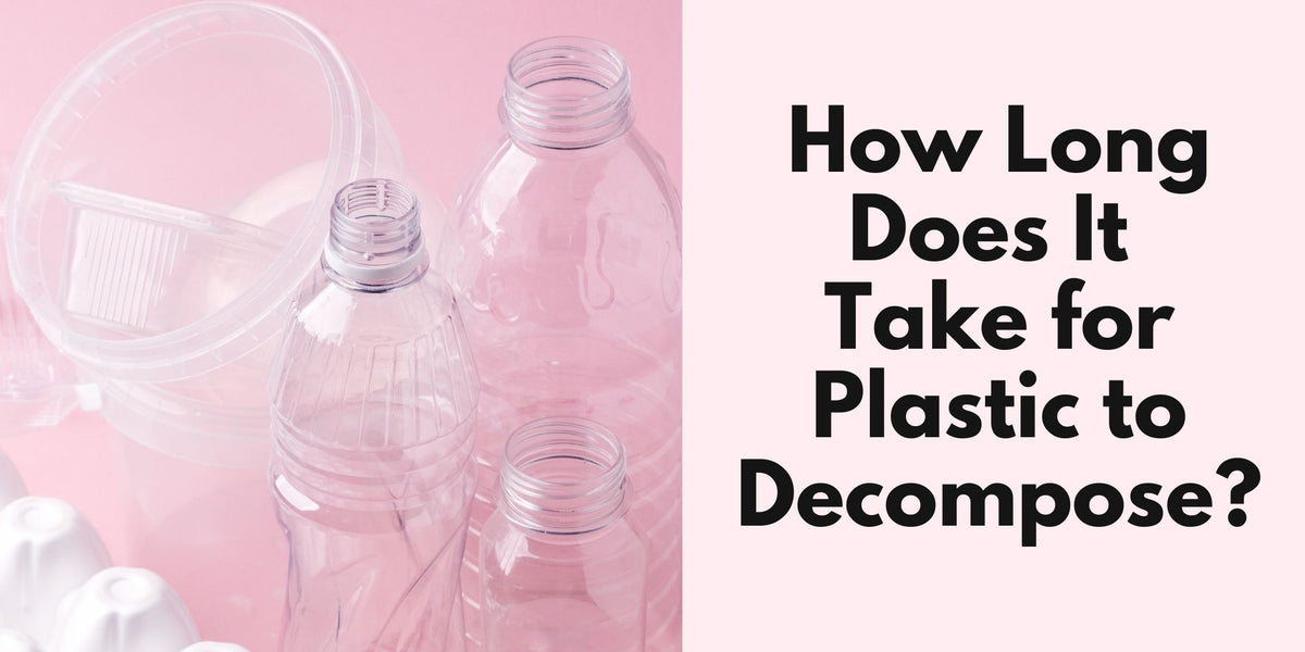How Long Plastic Bottles Take to Degrade in the Ocean