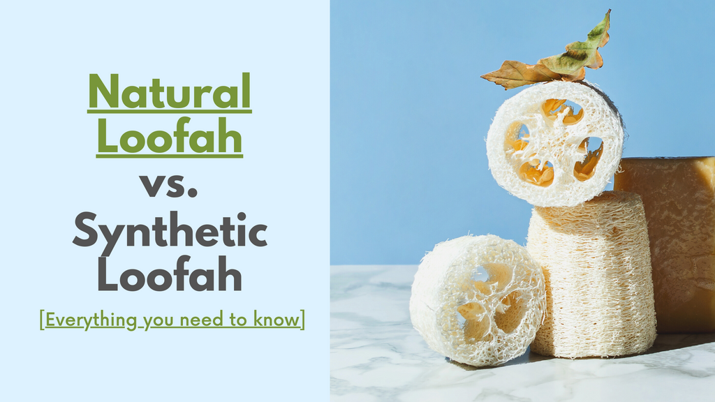 Natural Loofah vs. Synthetic Loofah [Everything you need to know]