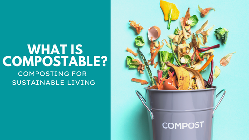 What is Compostable? [Composting for Sustainable Living]