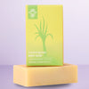 Organic Body Soap