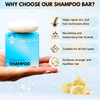 unscented shampoo bar