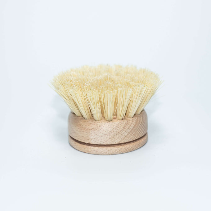 Dish Brush  One-Piece Handle & Replaceable Brush Head - What's Good