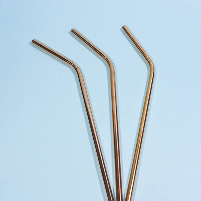 https://ecoroots.us/cdn/shop/products/stainless_steel_straw_opt_16_680x680_crop_center.jpg?v=1631291062
