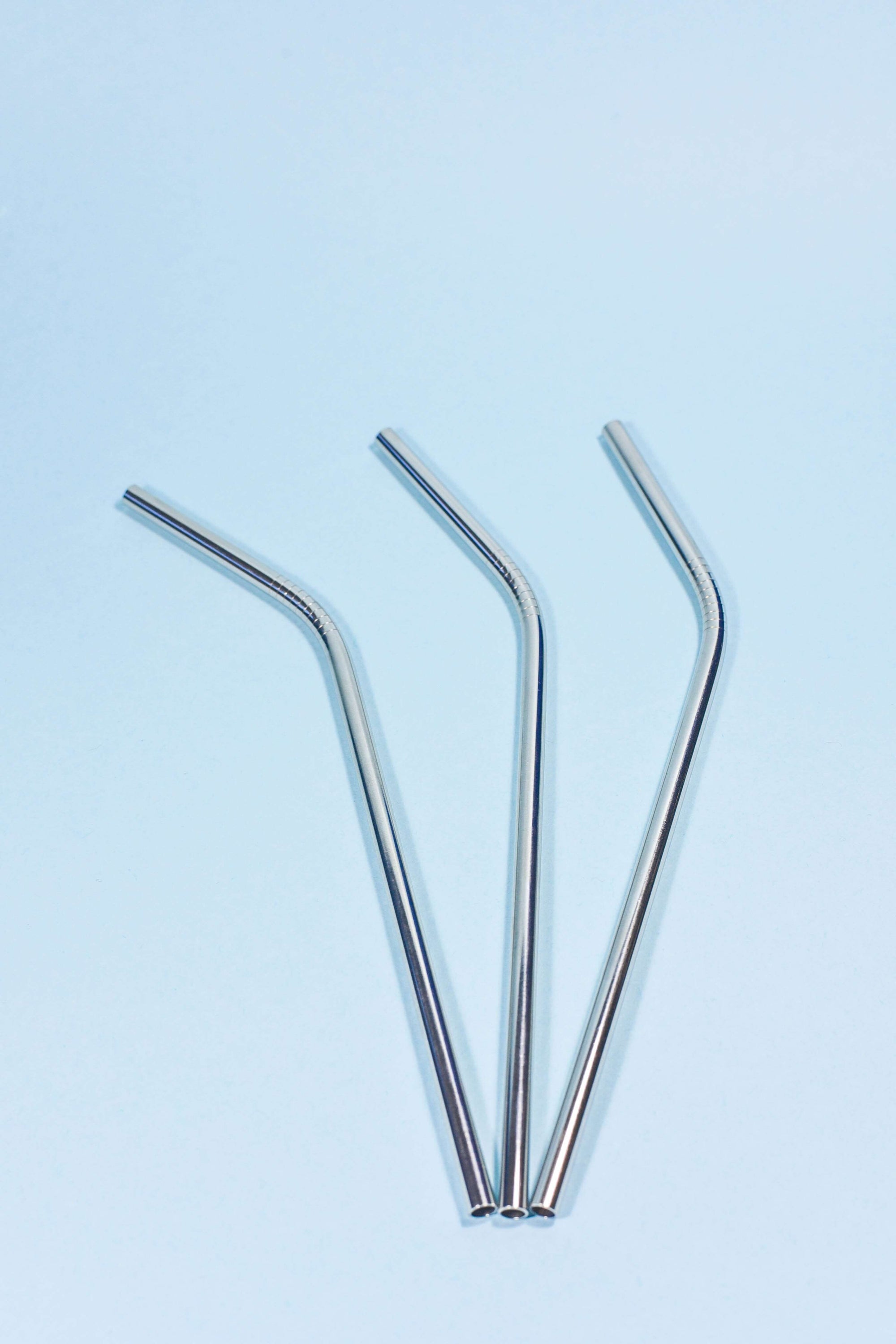 8'' Stainless Steel Straw – EcoRoots
